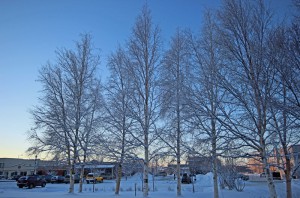 IMG_1373