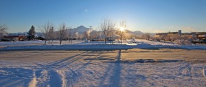 IMG_1386